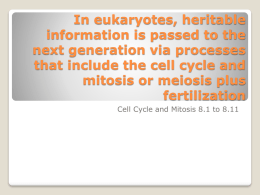 In eukaryotes, heritable information is passed to the next generation