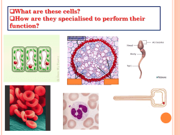F212- -Cell_Specialisation