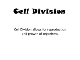 Cell Division & Cellular Organization