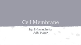 2014 Term 1 Cell Organelle Presentations