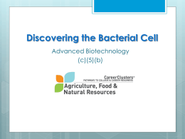 05b Identifying Bacterial Cells PPT