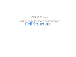 f211 cell structure