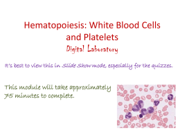 Hematopoiesis: WBCs and platelets
