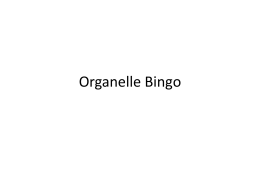 Organelle bingo