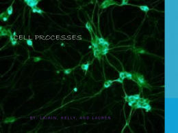 Cell Processes - Roundgrovechristianacademy.org