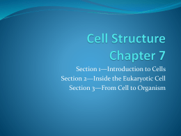 Cell Structure chapter 7