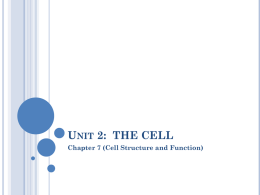 Unit 2: THE CELL - science-b