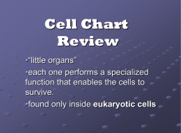 Cell Chart Review