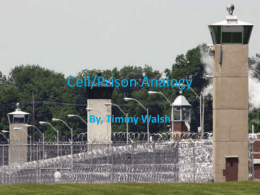 Cell Prison analogy[1] - NylandBiology2012-2013