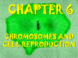 ch6-Chromosomes and cell reproduction