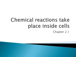 Chemical reactions take place inside cells
