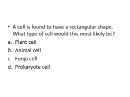 Cell Parts compared to a city