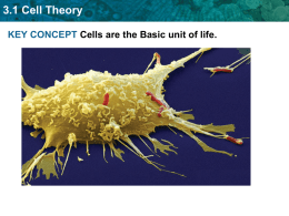 Section 3.1 Cell Theory and Comparison of Prokaryotic and