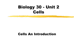 Cell Introduction Powerpoint