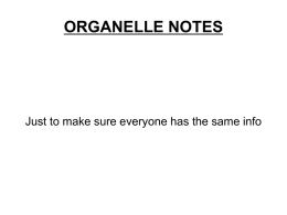 organelle notes