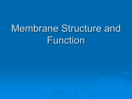 The Plasma Membrane: Structure and Function