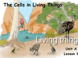 Unit A Ch1 L1 The Cells in Living Things