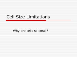 Cell Size Limitations