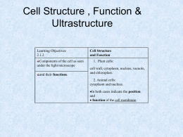 The Cell