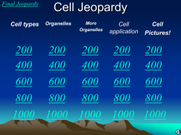 Cell Jeopardy Game
