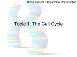 Unit 5 Cellular & Organismal Reproduction