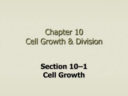 Section 10–1 Cell Growth