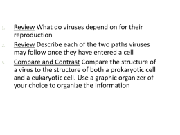20.1_Viruses
