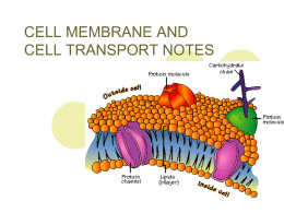 Cell membrane and Cell transport