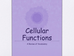 Cellular Functions