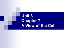 Unit 3 Chapter 7 A View of the Cell