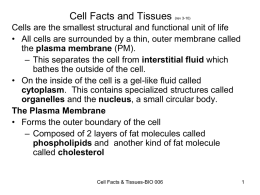 Cell Structure & Function Tissues
