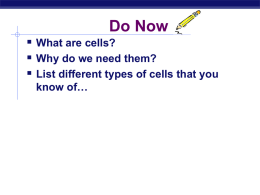The Cell - Montville.net