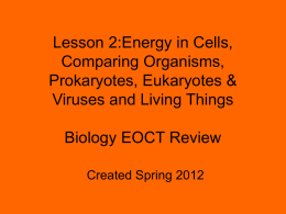 Lesson 2:Energy in Cells, Comparing Organisms, Prokaryotes