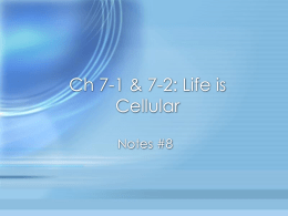 Ch 7-1: Life is Cellular