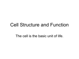 Cell Structure and Function