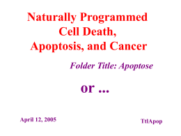 Naturally Programmed Cell Death, Apoptosis, and Cancer