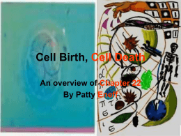 Cell Birth, Cell Death - UCO
