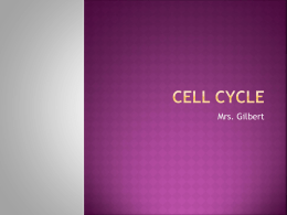 Cell cycle - Schoolwires