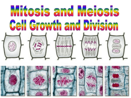 Cell Growth & Division - Whitman