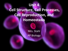 Unit 4 Cell Structure, Cell Processes, Cell Reproduction