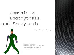 Osmosis vs. Endocytosis and Exocytosis