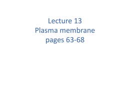 Lecture 11 Ch.3 Cellular basic of life