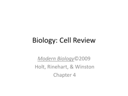 Biology: Cell Unit Review