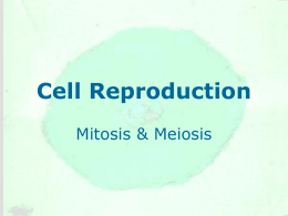 Cell Reproduction - Ms. Tegtmeier's Class Plans