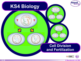 Cell Division and Fertilization