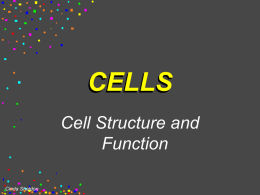 CELLS - Hudson City School District