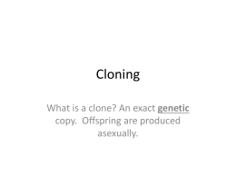 Cloning - Schoolwires