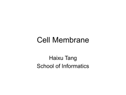Cell Membrane - Informatics: Indiana University