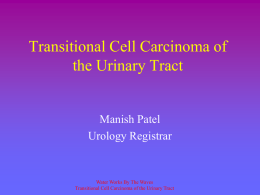 Transitional Cell Carcinoma of the Urinary Tract