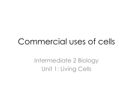 Commercial uses of cells - Miss Hanson's Biology Resources